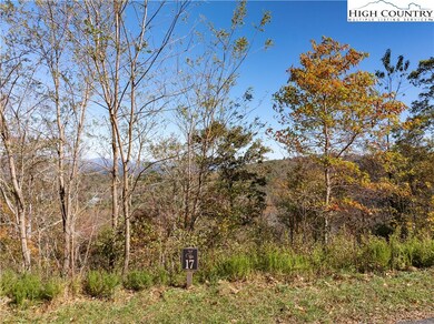 17 Antler Trail, Boone, NC 28607 - photo 2
