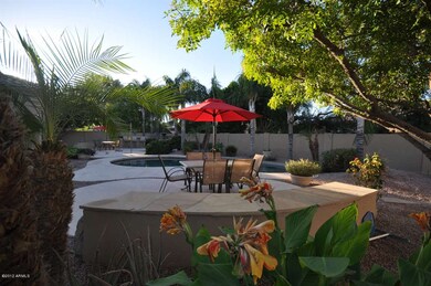 Resort-Style Backyard