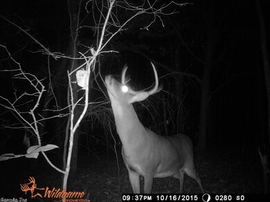 15.39 Greene Road 715, Paragould, AR 72450 - photo 4