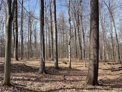 1292 Halls Corners Rd, Attica, NY 14011 - photo 7