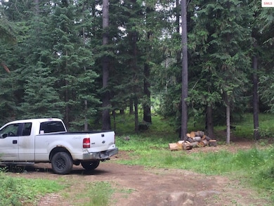 158 Dubius Creek Rd, Priest River, ID 83856 - photo 5