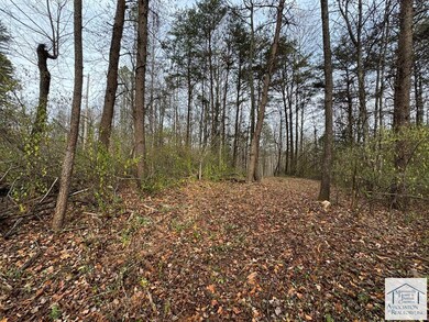 0 Pine Knoll Farms unit 145573, Stuart, VA 24171 - photo 2