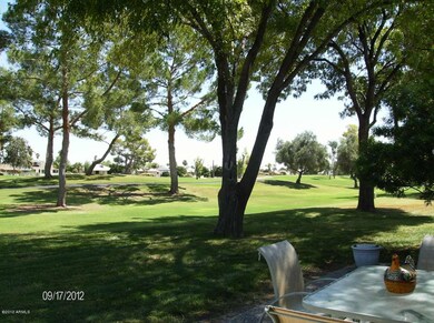 COURSE VIEW FROM BACK PATIO