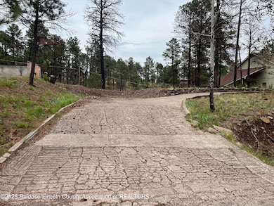 Shared driveway