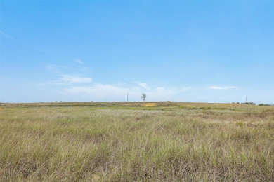 Lot 1 County Road 335, Shiner, TX 77984 - photo 2
