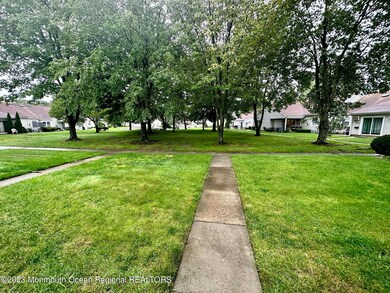 Rear Lawn