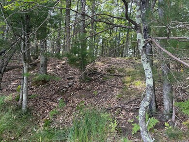 Lot 3 Pine Shore Ln, St. Germain, WI 54558 - photo 5