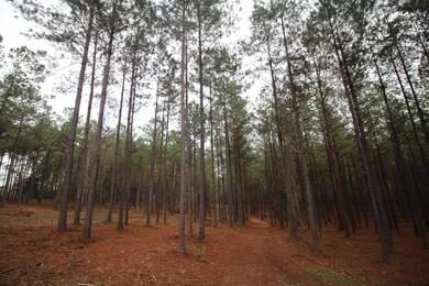 0 Hines Rd, Laurel, MS 39443 - photo 5