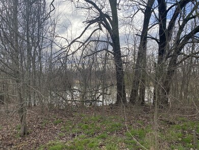 0 Unionville Deason Rd unit RTC2366203, Bell Buckle, TN 37020 - photo 6