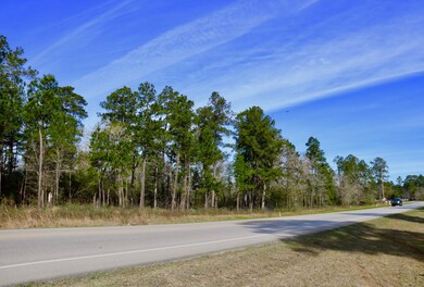 001 Nichols Sawmill Rd, Magnolia, TX 77355 - photo 4