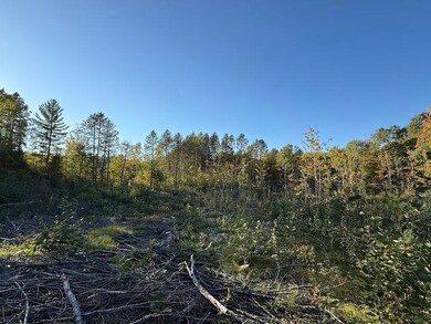 ON S Newman Lake Rd, Fifield, WI 54552 - photo 6