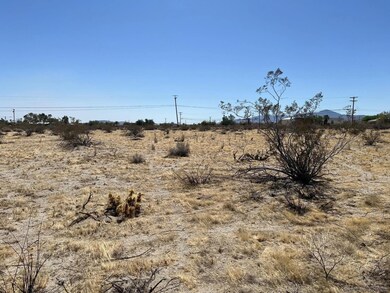0 Borrego Springs Rd unit 131 250024930, Borrego Springs, CA 92004 - photo 7