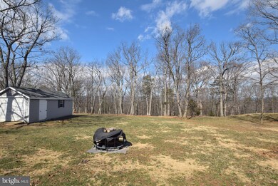 239 Lower View Rd, Strasburg, VA 22657 - photo 4