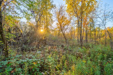 8840 Houston Rd, Eaton Rapids, MI 48827 - photo 3