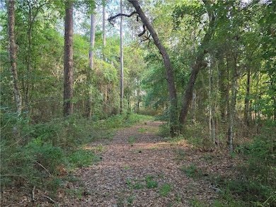 Entrance of lot.