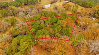 XXX Odell Rd, Bismarck, AR 71929 - photo 3