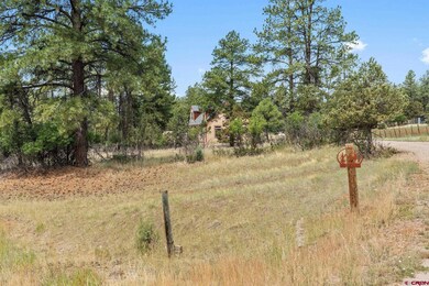 321 Meadow View Rd, Durango, CO 81301 - photo 2