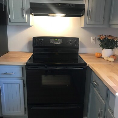 1301 W Barnes Ave, Lansing, MI 48910 - photo 7