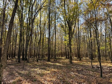 0 State Road S-28-87, Bethune, SC 29009 - photo 6
