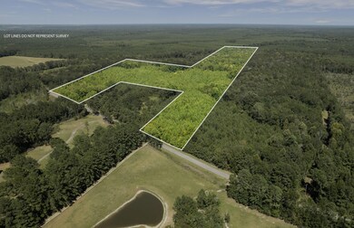 Gum_Swamp_Road-3
