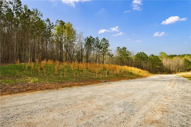 8385 Serenbe Rd, Chattahoochee Hills, GA 30268 - photo 5