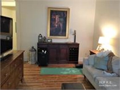 395 Harvard St unit 1, Brookline, MA 02446 - photo 3