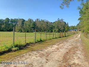 IMG-2808 (2)