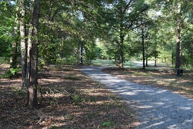 294 Griswoldville Short Cut, Macon, GA 31217 - photo 3