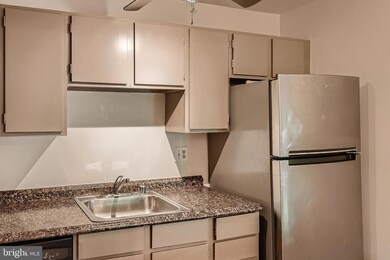 101 Fitz Ct unit 204, Reisterstown, MD 21136 - photo 6