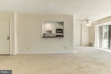 101 Skyhill Rd unit 203, Alexandria, VA 22314 - photo 6