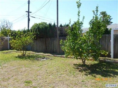 Spacious Back Yard