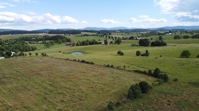 4 ACRES Miller Rd, Waynesboro, VA 22980 - photo 5