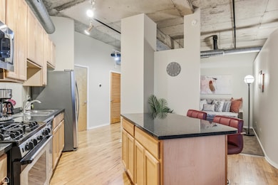 SkyTech Lofts unit 920S, Chicago, IL 60607 - photo 6