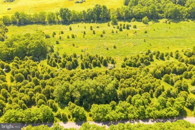 24 Marsh Hawk Way, Shepherdstown, WV 25443 - photo 2