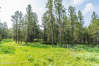 Tbd Quarry Rd, Four Corners, WY 82715 - photo 3