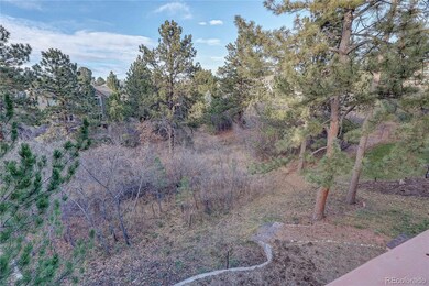7049 Forest Ridge Cir, Castle Pines, CO 80108 - photo 5