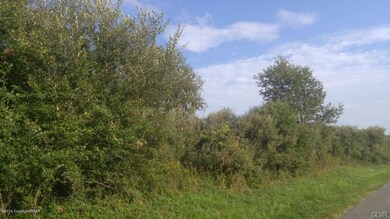 8 Butternut Dr, Kunkletown, PA 18058 - photo 5