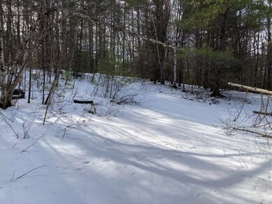 0 Jerusalem Rd unit 4990793, Canaan, NH 03741 - photo 4