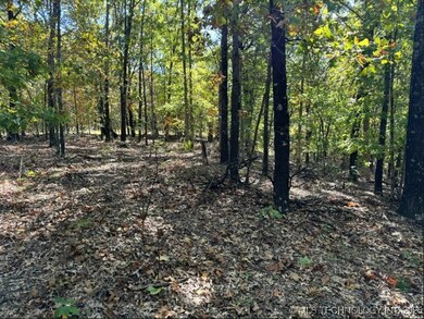 6620 N Starr Ridge Rd, Proctor, OK 74457 - photo 4