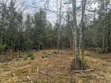 0 State Park Rd unit 1490059, Dover-Foxcroft, ME 04426 - photo 4