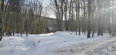 2057 New Hampshire 16, Albany, NH 03818 - photo 5