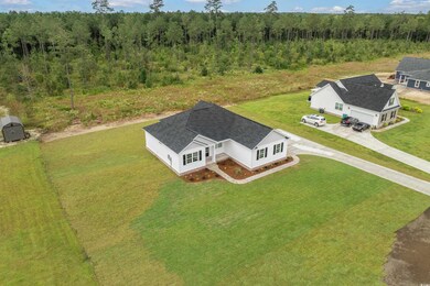 6909 Pauley Swamp Rd, Conway, SC 29527 - photo 3