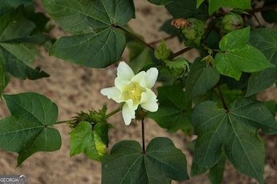 0 Twin Forks Rd unit TRACT 2 10586435, Statesboro, GA 30458 - photo 3