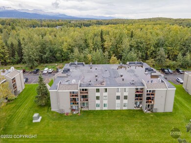 Exterior Aerial