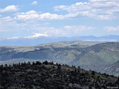 53 Trail Dr, Cotopaxi, CO 81223 - photo 3