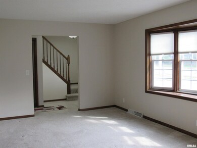 3910 Lorton Ave, Davenport, IA 52807 - photo 3