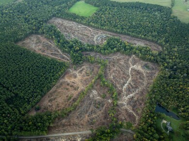 0 Ashley Rd unit 11613506, Brandon, MS 39042 - photo 5