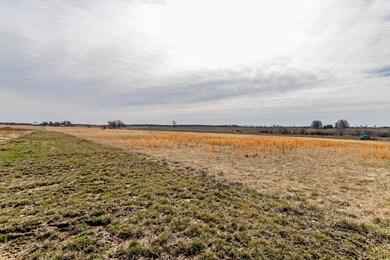 IMG_0253