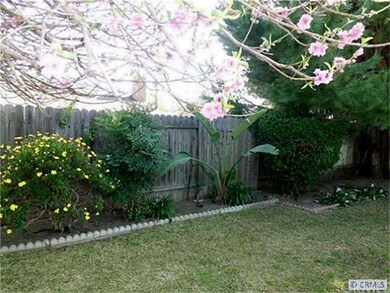 Lots of grass to play on in the back yard