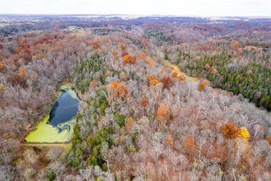 10684 Barker Rd, Vevay, IN 47043 - photo 5